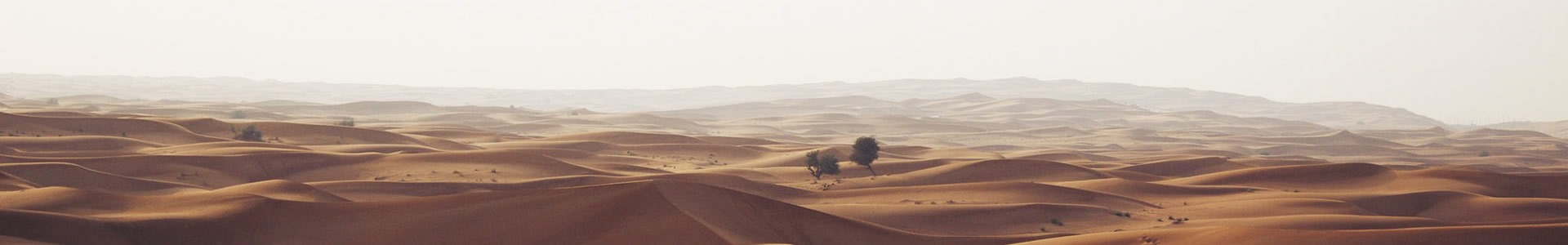 Զлװι޹˾